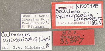 Media type: image;   Entomology 33347 Aspect: labels
